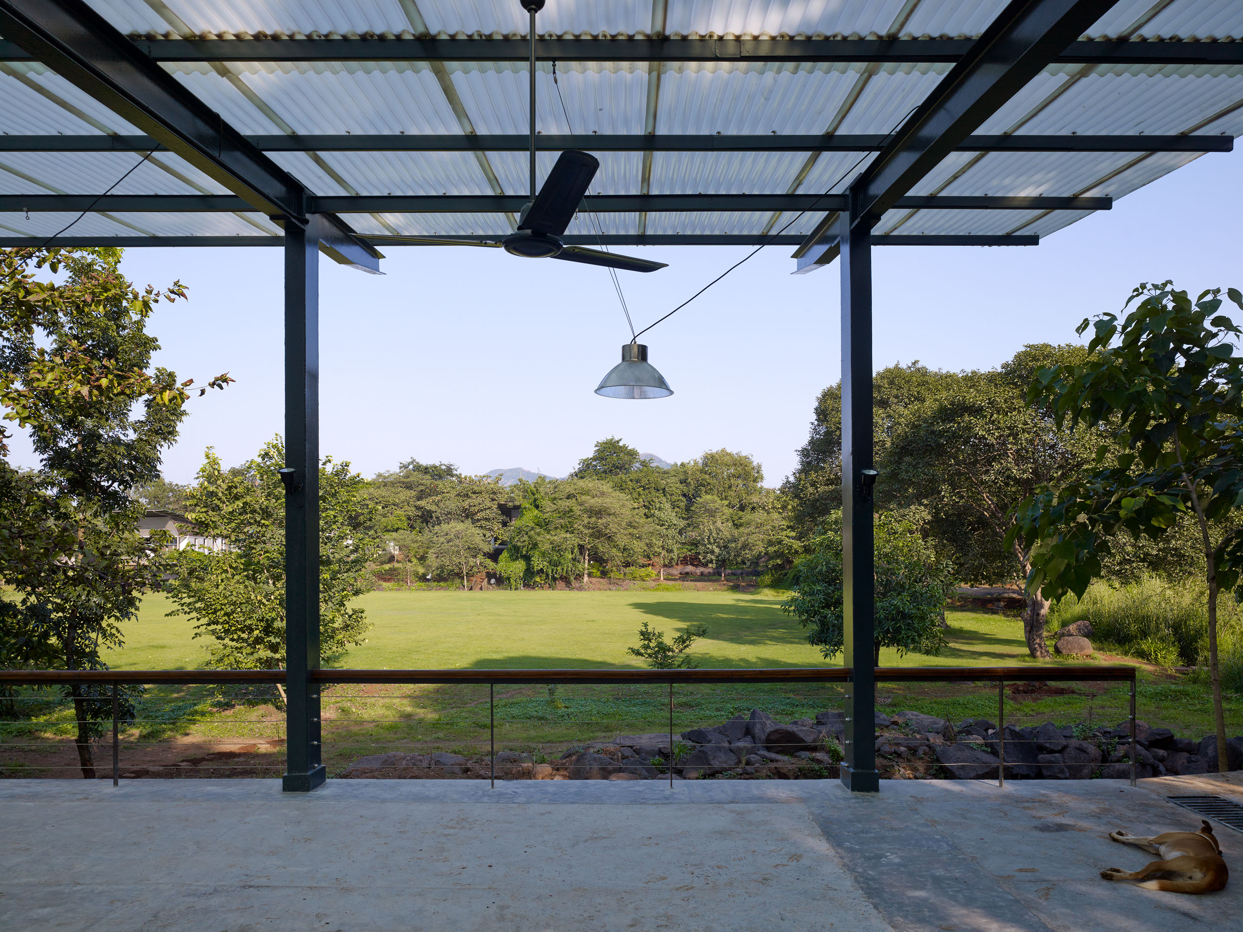 E13461 Alpa 040911 j2560